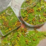 Mixed flowers (large box)