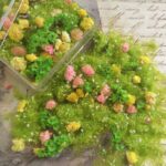 mixed flower and grass