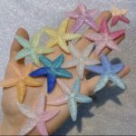 Colored starfish (10 pieces)