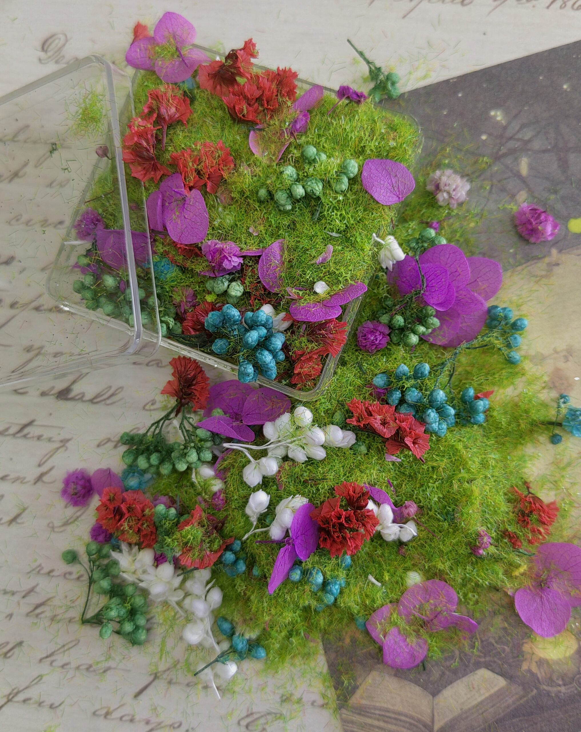 mixed flowers