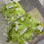 mixed flowers