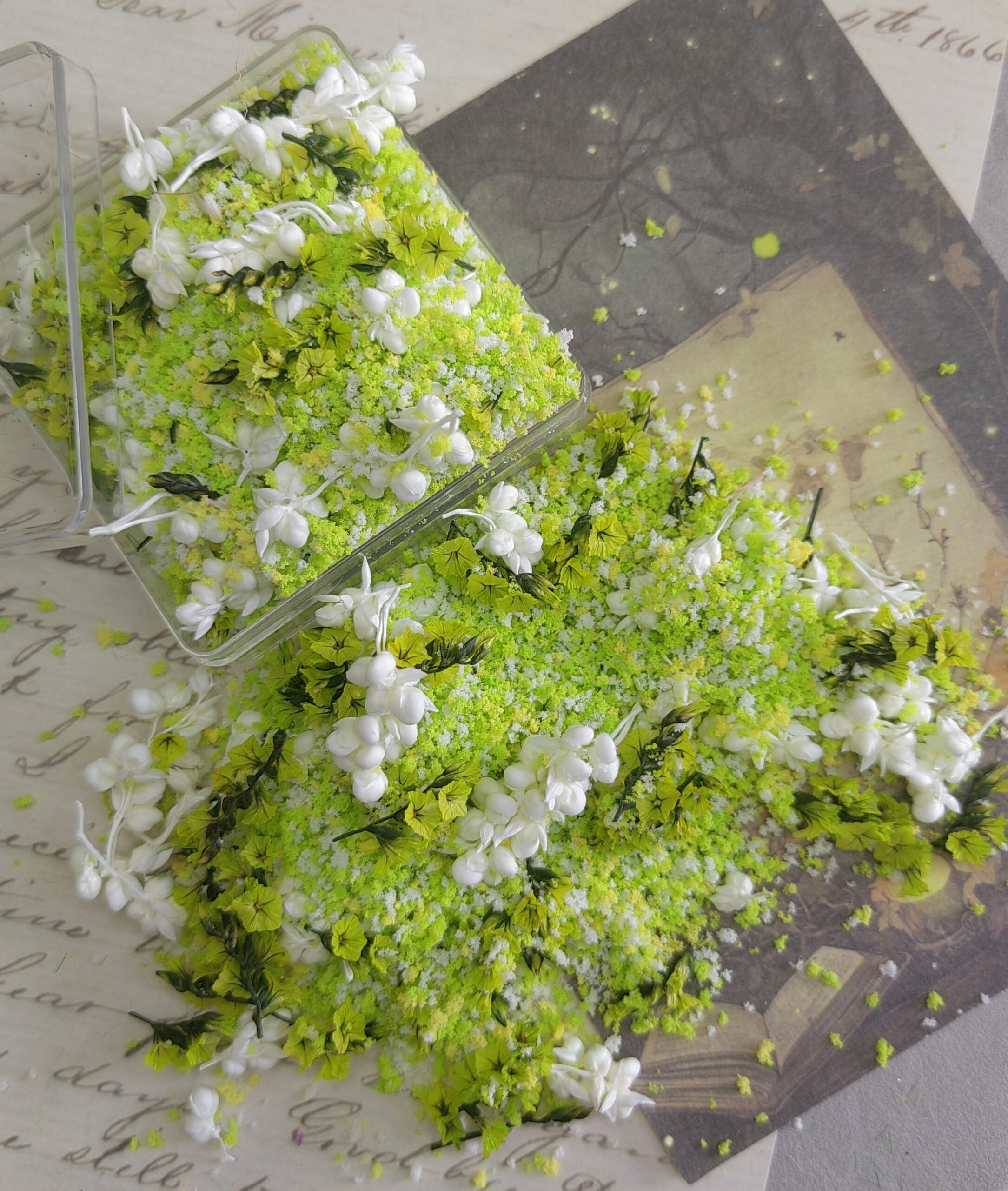 mixed flowers