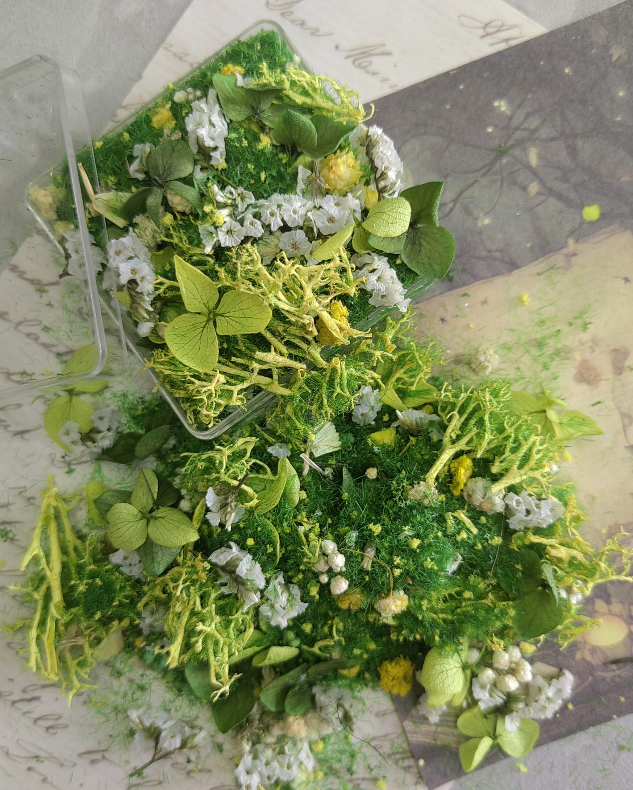 mixed flowers