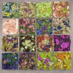 Mixed Flowers  Kit