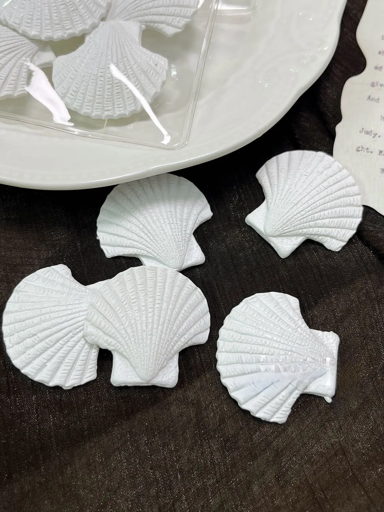 White seashells (5 per pack)